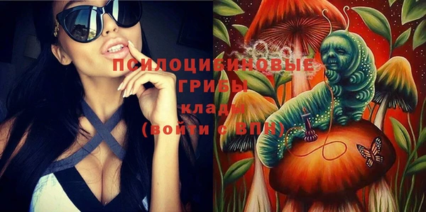 МДПВ Алексин