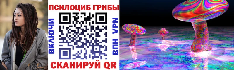 Псилоцибиновые грибы Cubensis  закладки  Заполярный 
